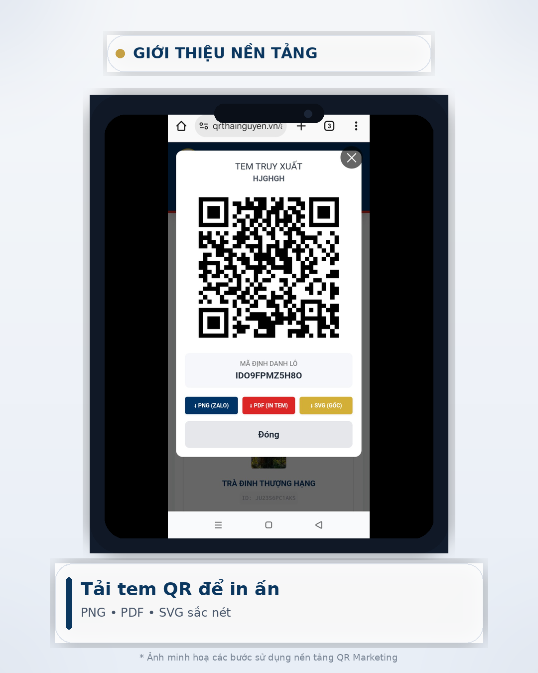 Tải QR: PNG, PDF, SVG